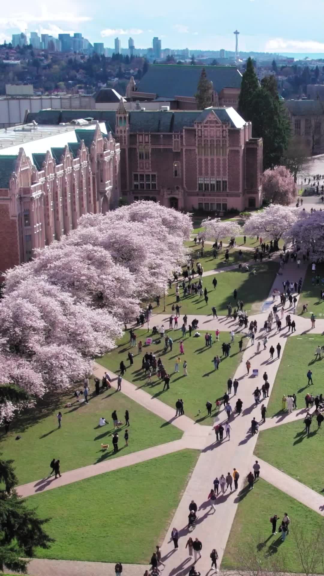 Folge 6 - Ketten sprengen für ein neues Leben